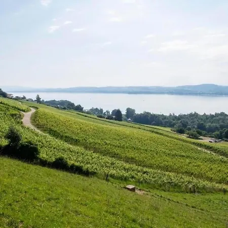 Gaestehaus Mit See- Und Weitblick * Vully-les-Lacs
