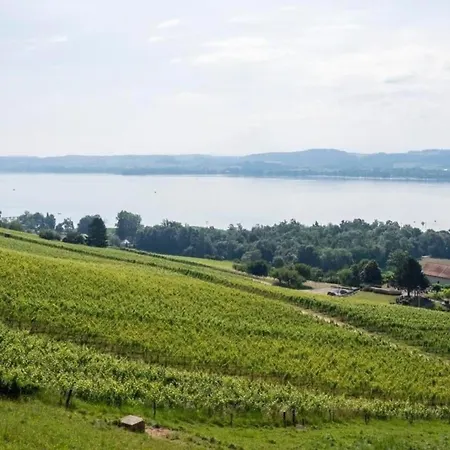 Gaestehaus Mit See- Und Weitblick